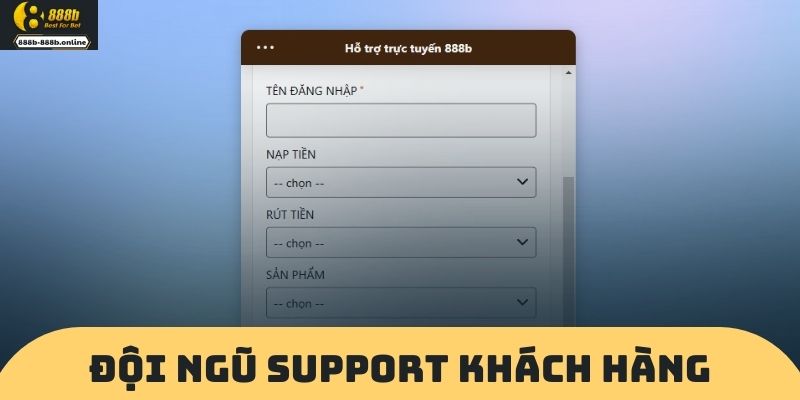 Đội Ngũ Support Khách Hàng